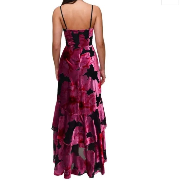 ‼️FINAL PRICE‼️ Hutch  Royce hi lo velvet burnout dress - NWT - Picture 2 of 8